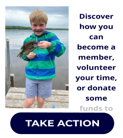 Take Action to Protect the Lakes